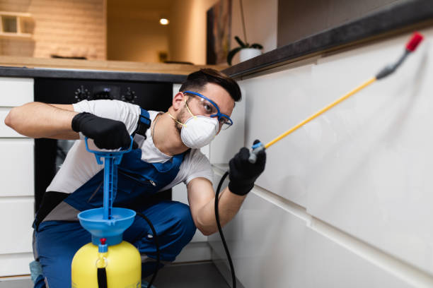 Best Pest Prevention Services  in Pickerington, OH