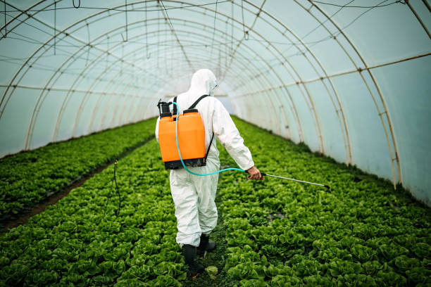 Best Commercial Pest Control Services  in Pickerington, OH