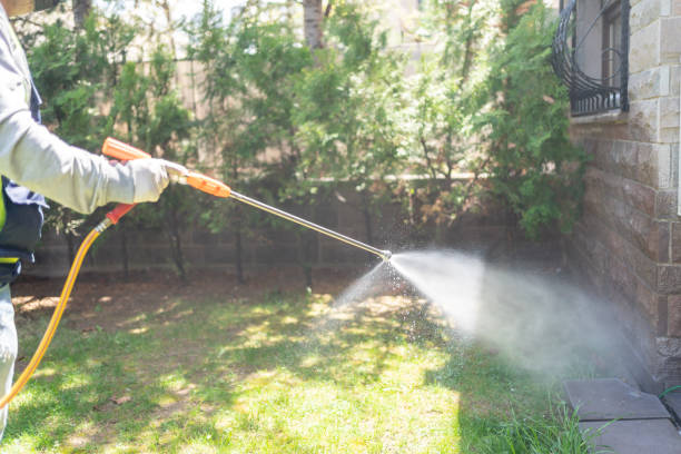 Best Rat Extermination Near Me  in Pickerington, OH