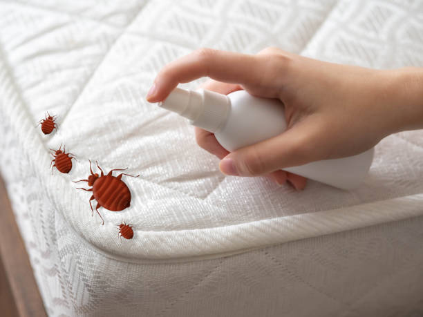 Wildlife Control Services in Pickerington, OH
