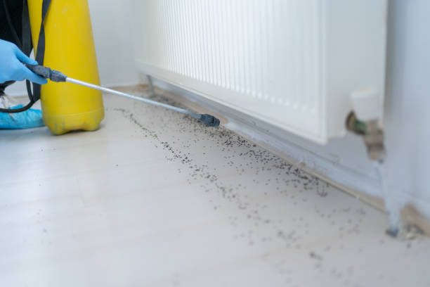 Best Exterminator Services  in Pickerington, OH
