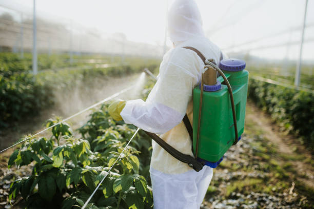 Best Exterminator Services  in Pickerington, OH